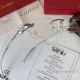 Newest Copy Cartier Leopard Eyeglasses Titanium Frame (6)_th.jpg